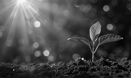 忙しい日々の中で、ほんの少し立ち止まって、心と体を整える時間を。